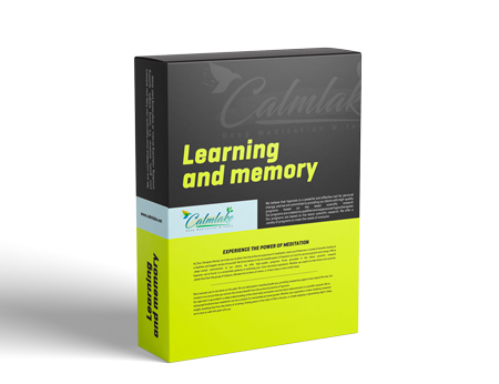 Learning and memory